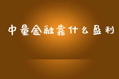 中量金融靠什么盈利_https://cj006.lansai.wang_金融监管_第1张