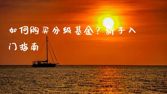 如何购买分级基金？新手入门指南_https://cj006.lansai.wang_全球市场_第1张