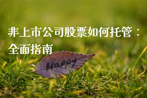 非上市公司股票如何托管：全面指南_https://cj006.lansai.wang_债券资讯_第1张