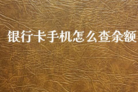 银行卡手机怎么查余额_https://cj006.lansai.wang_外汇交易_第1张