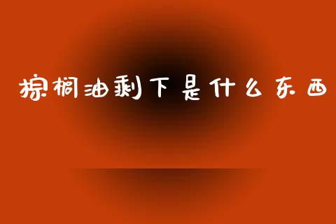 棕榈油剩下是什么东西_https://cj006.lansai.wang_全球市场_第1张