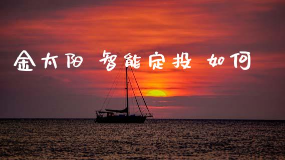 金太阳 智能定投 如何_https://cj006.lansai.wang_金融监管_第1张