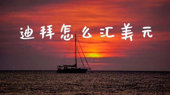 迪拜怎么汇美元_https://cj006.lansai.wang_金融监管_第1张
