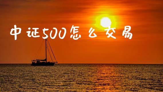 中证500怎么交易_https://cj006.lansai.wang_外汇交易_第1张