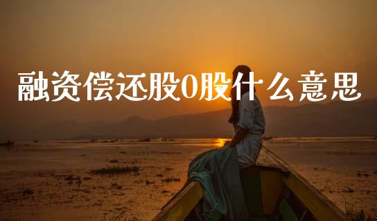 融资偿还股0股什么意思_https://cj006.lansai.wang_财经新闻_第1张