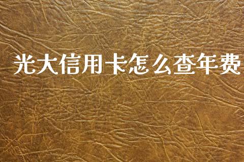 光大信用卡怎么查年费_https://cj006.lansai.wang_外汇交易_第1张