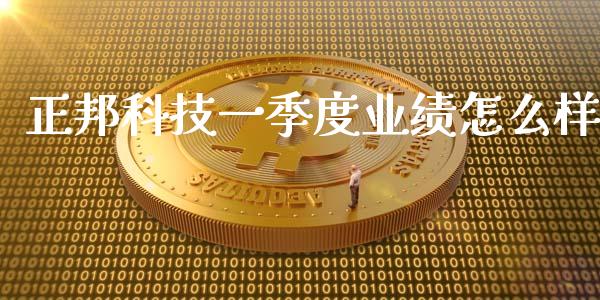 正邦科技一季度业绩怎么样_https://cj006.lansai.wang_金融监管_第1张