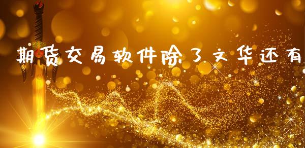期货交易软件除了文华还有_https://cj006.lansai.wang_财经新闻_第1张