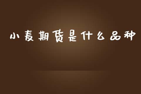 小麦期货是什么品种_https://cj006.lansai.wang_财经新闻_第1张