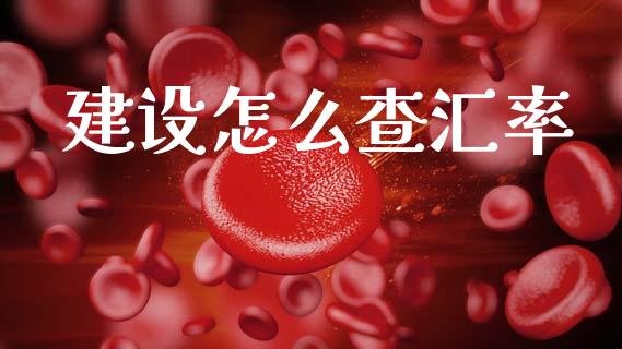 建设怎么查汇率_https://cj006.lansai.wang_债券资讯_第1张