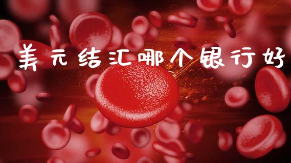 美元结汇哪个银行好_https://cj006.lansai.wang_财经新闻_第1张