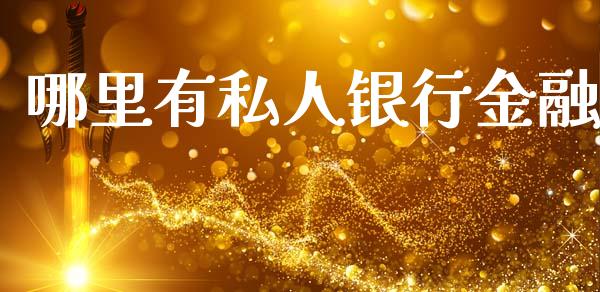 哪里有私人银行金融_https://cj006.lansai.wang_债券资讯_第1张