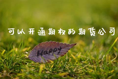 可以开通期权的期货公司_https://cj006.lansai.wang_财经新闻_第1张