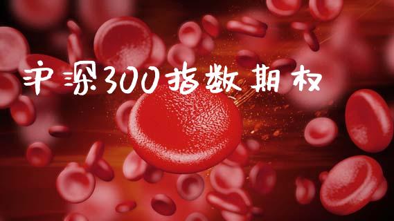 沪深300指数期权_https://cj006.lansai.wang_期货开户_第1张