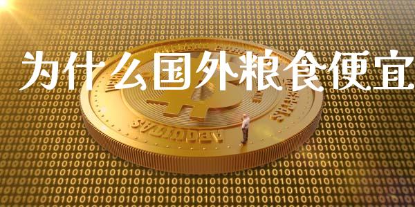 为什么国外粮食便宜_https://cj006.lansai.wang_全球市场_第1张