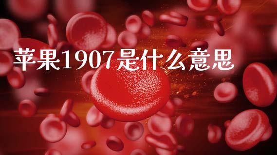 苹果1907是什么意思_https://cj006.lansai.wang_期货开户_第1张