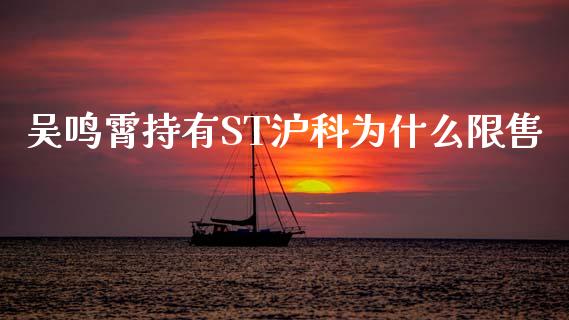 吴鸣霄持有ST沪科为什么限售_https://cj006.lansai.wang_财经新闻_第1张