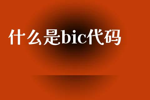 什么是bic代码_https://cj006.lansai.wang_财经新闻_第1张