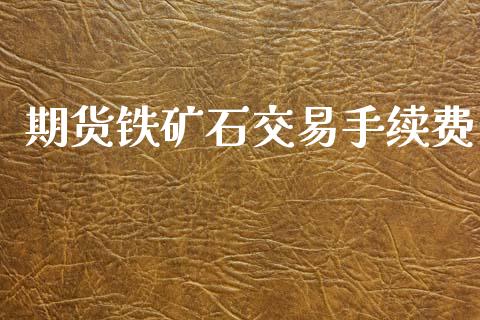 期货铁矿石交易手续费_https://cj006.lansai.wang_金融监管_第1张