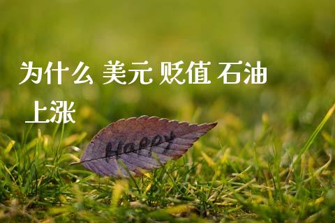 为什么 美元 贬值 石油 上涨_https://cj006.lansai.wang_金融监管_第1张