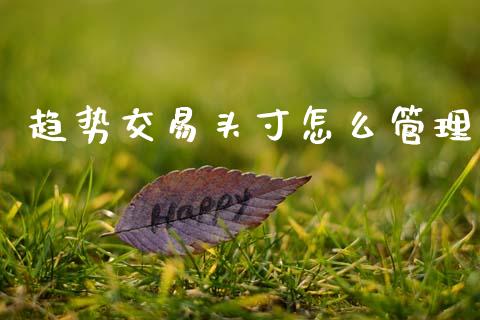 趋势交易头寸怎么管理_https://cj006.lansai.wang_财经新闻_第1张