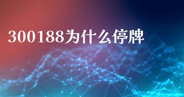 300188为什么停牌_https://cj006.lansai.wang_财经新闻_第1张