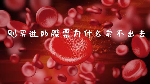 刚买进的股票为什么卖不出去_https://cj006.lansai.wang_金融监管_第1张