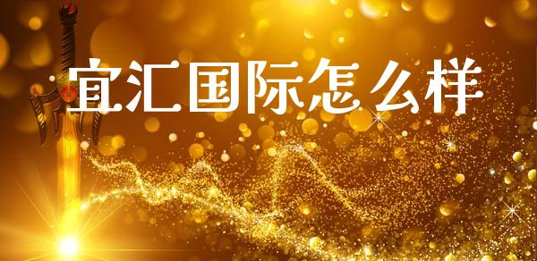 宜汇国际怎么样_https://cj006.lansai.wang_金融监管_第1张