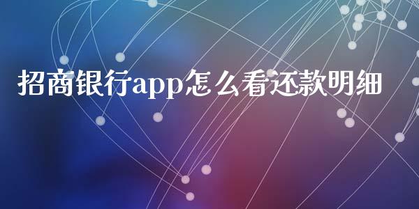 招商银行app怎么看还款明细_https://cj006.lansai.wang_债券资讯_第1张