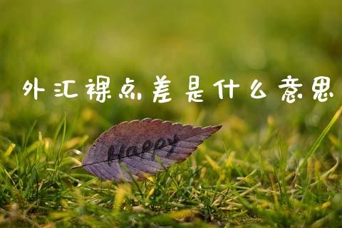 外汇裸点差是什么意思_https://cj006.lansai.wang_金融监管_第1张
