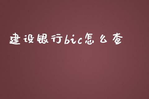 建设银行bic怎么查_https://cj006.lansai.wang_全球市场_第1张