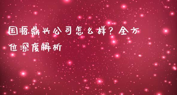 国源鼎兴公司怎么样？全方位深度解析_https://cj006.lansai.wang_财经新闻_第1张