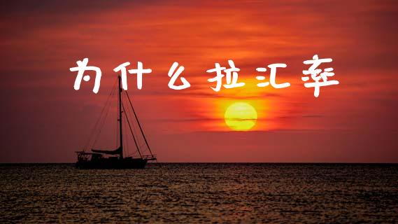 为什么拉汇率_https://cj006.lansai.wang_期货开户_第1张