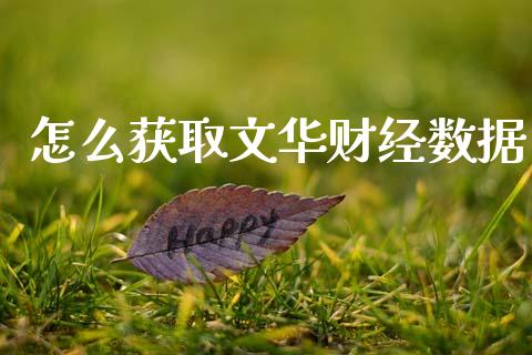 怎么获取文华财经数据_https://cj006.lansai.wang_金融监管_第1张
