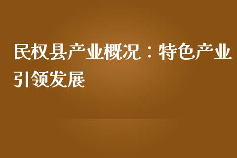 民权县产业概况：特色产业引领发展_https://cj006.lansai.wang_期货开户_第1张