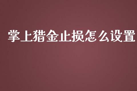 掌上猎金止损怎么设置_https://cj006.lansai.wang_全球市场_第1张