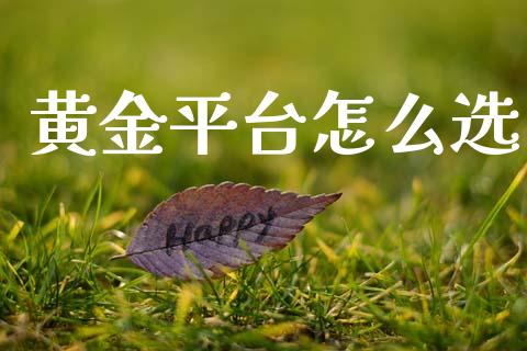 黄金平台怎么选_https://cj006.lansai.wang_金融监管_第1张