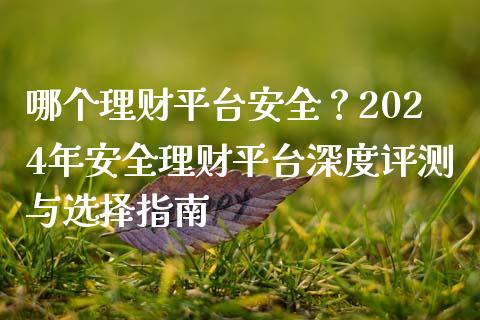 哪个理财平台安全？2024年安全理财平台深度评测与选择指南_https://cj006.lansai.wang_金融监管_第1张