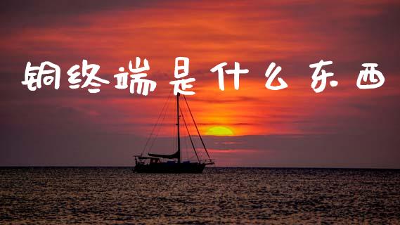 铜终端是什么东西_https://cj006.lansai.wang_外汇交易_第1张