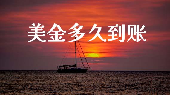 美金多久到账_https://cj006.lansai.wang_金融监管_第1张