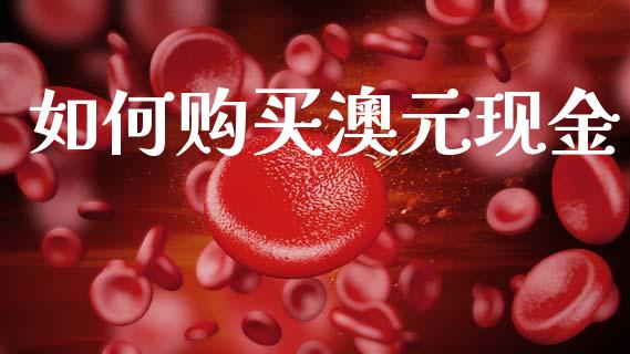 如何购买澳元现金_https://cj006.lansai.wang_财经新闻_第1张
