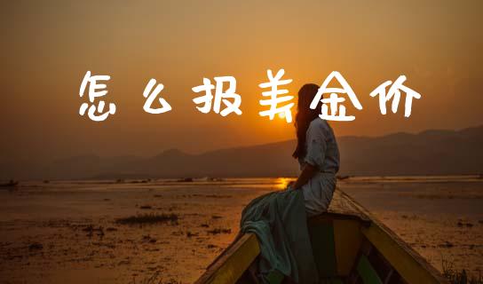 怎么报美金价_https://cj006.lansai.wang_债券资讯_第1张