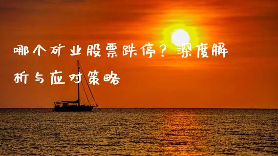 哪个矿业股票跌停？深度解析与应对策略_https://cj006.lansai.wang_债券资讯_第1张