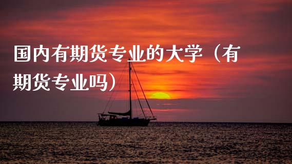 国内有期货专业的大学（有期货专业吗）_https://cj006.lansai.wang_金融监管_第1张