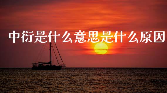 中衍是什么意思是什么原因_财经新闻_第1张_期货开户_金融监管_外汇交易_债券资讯_全球市场_财经新闻 中衍是什么意思是什么原因_https://cj006.lansai.wang_财经新闻_第1张