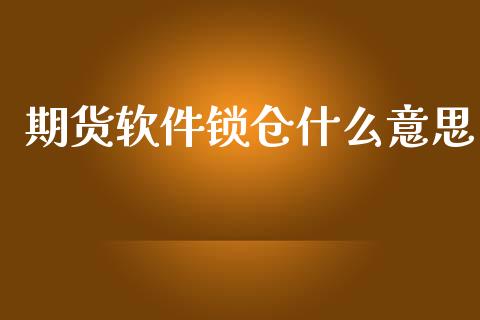 期货软件锁仓什么意思_https://cj006.lansai.wang_外汇交易_第1张