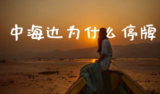 中海达为什么停牌_https://cj006.lansai.wang_外汇交易_第1张