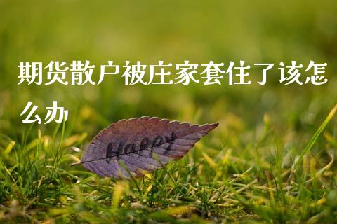 期货散户被庄家套住了该怎么办_https://cj006.lansai.wang_财经新闻_第1张
