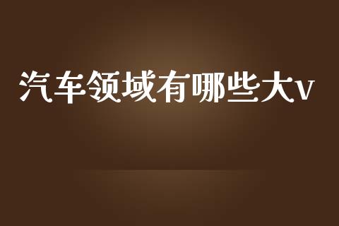 汽车领域有哪些大v_https://cj006.lansai.wang_期货开户_第1张