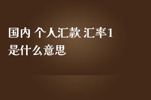 国内 个人汇款 汇率1 是什么意思_https://cj006.lansai.wang_财经新闻_第1张